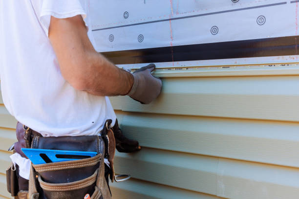 Affordable Emergency Siding Repair solutions in Centreville, IL